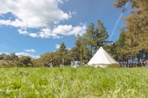 Bell tent in the meadow at Bush Farm