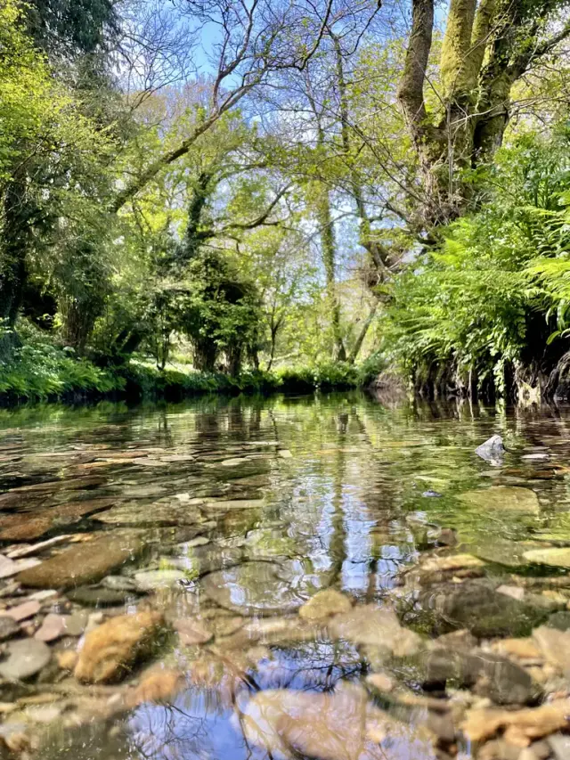 River at Bush Farm