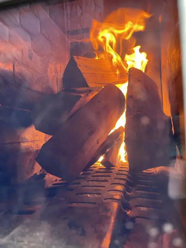 Wood fire